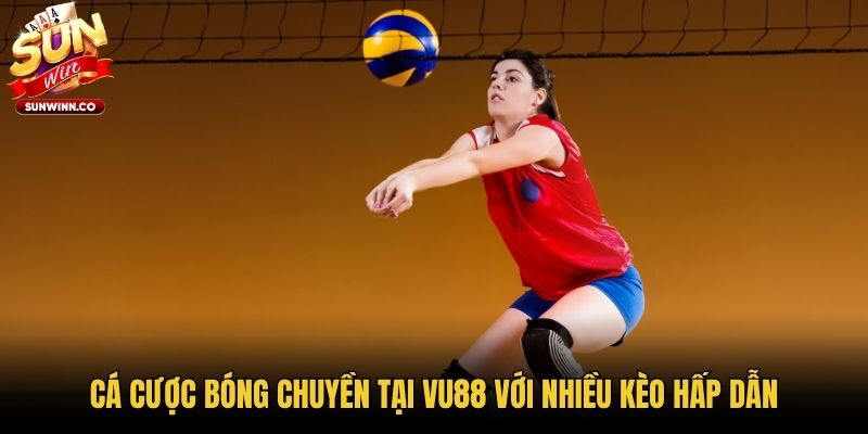 Cá cược bóng chuyền tại VU88 với nhiều kèo hấp dẫn
